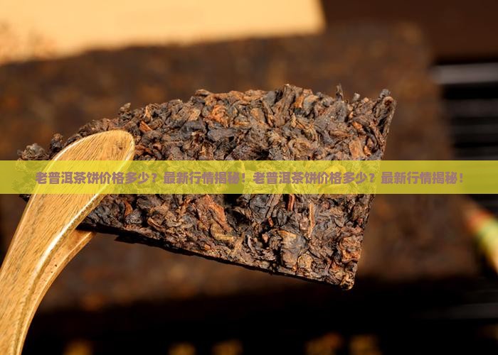 老普洱茶饼价格多少