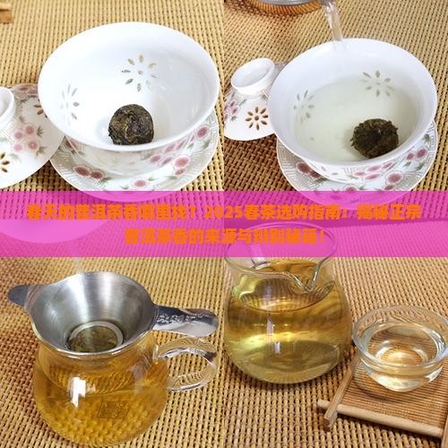 春天的普洱茶香