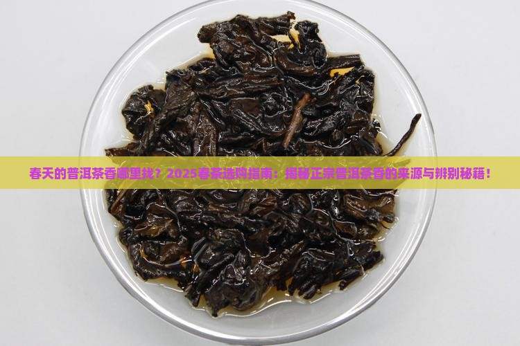 春天的普洱茶香