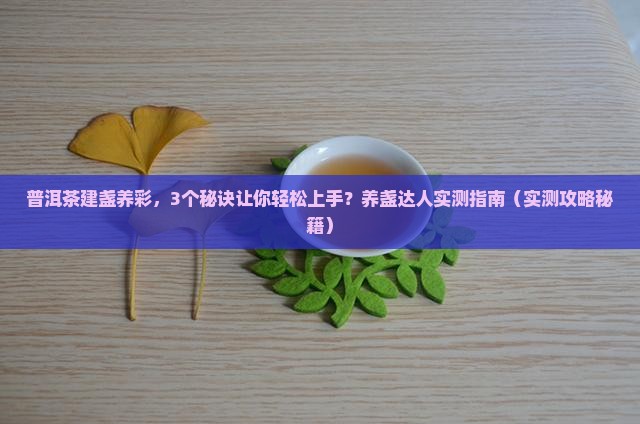 普洱茶建盏养彩