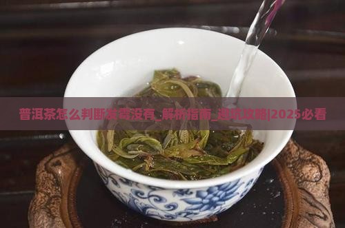 普洱茶怎么判断发霉没有