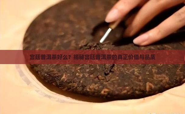 宫廷普洱茶好么