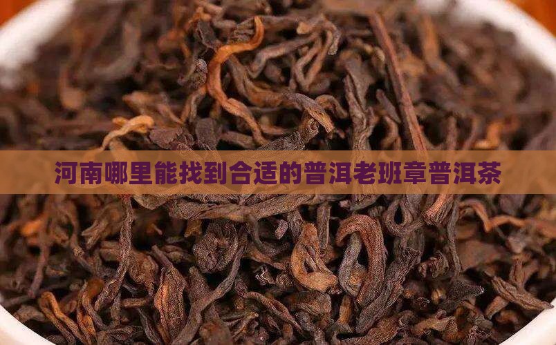 河南老班章哪家合适