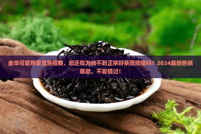 金华可靠熟普洱茶招商