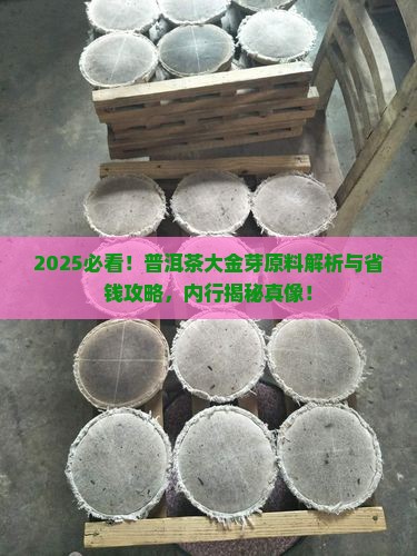 普洱茶大金芽原料