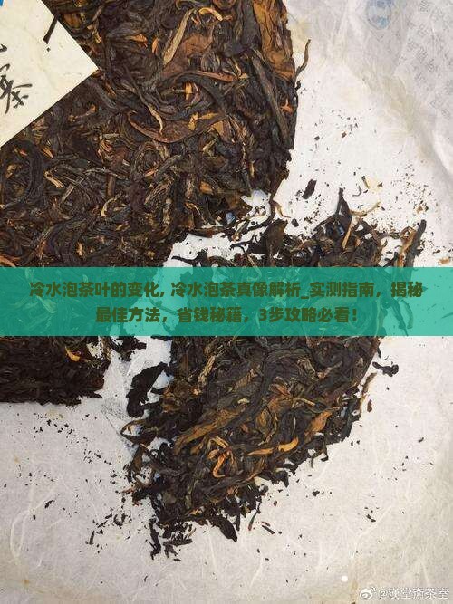 冷水泡茶叶的变化