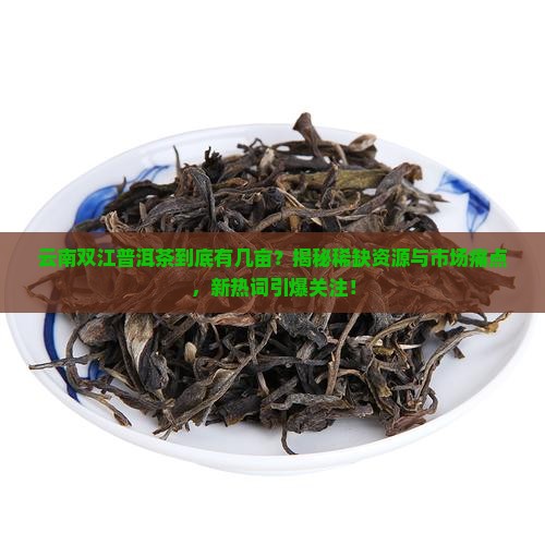 云南双江普洱茶有几亩
