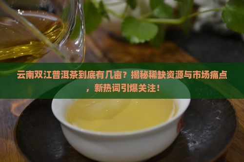 云南双江普洱茶有几亩