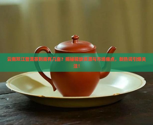 云南双江普洱茶有几亩