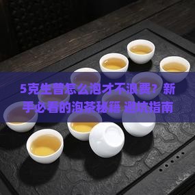 普洱茶生普5克怎么泡