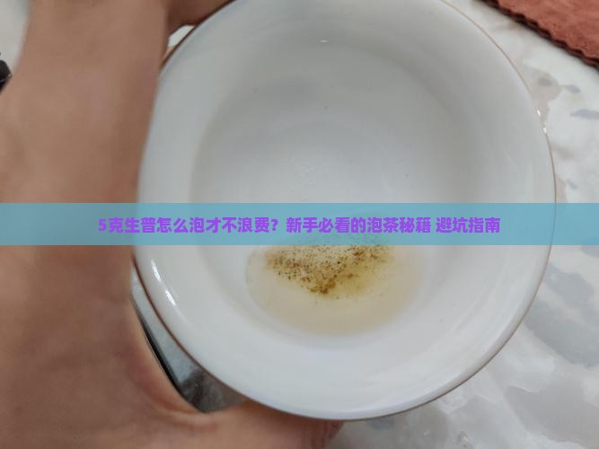 普洱茶生普5克怎么泡