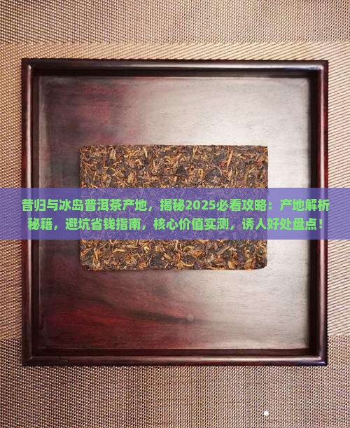 昔归与冰岛普洱茶产地