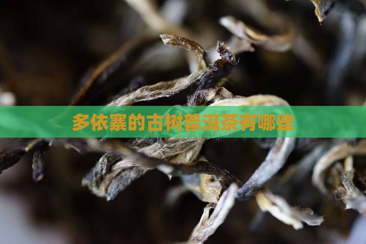 多依寨有些什么茶