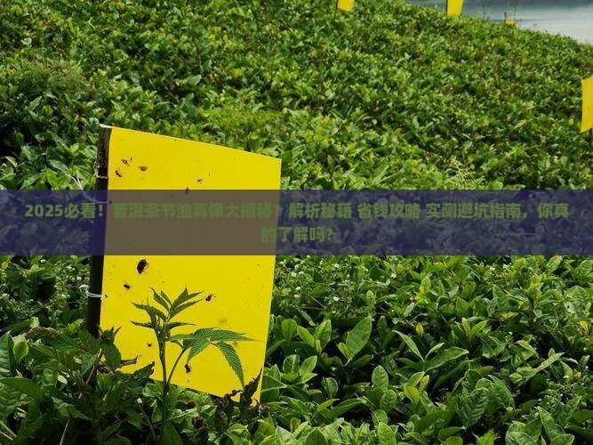 普洱茶为什么节油