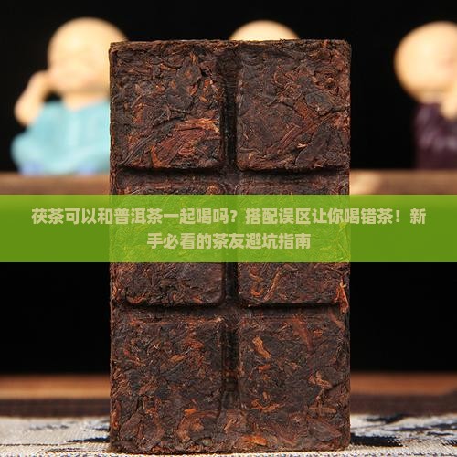 茯茶可以和普洱茶一起喝吗