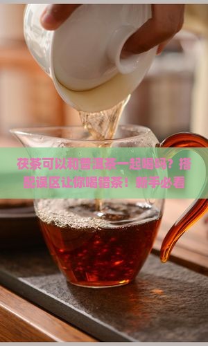 茯茶可以和普洱茶一起喝吗