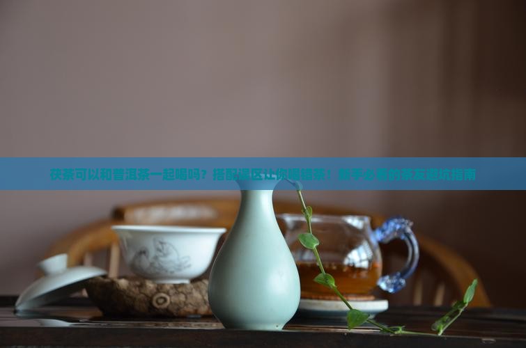 茯茶可以和普洱茶一起喝吗