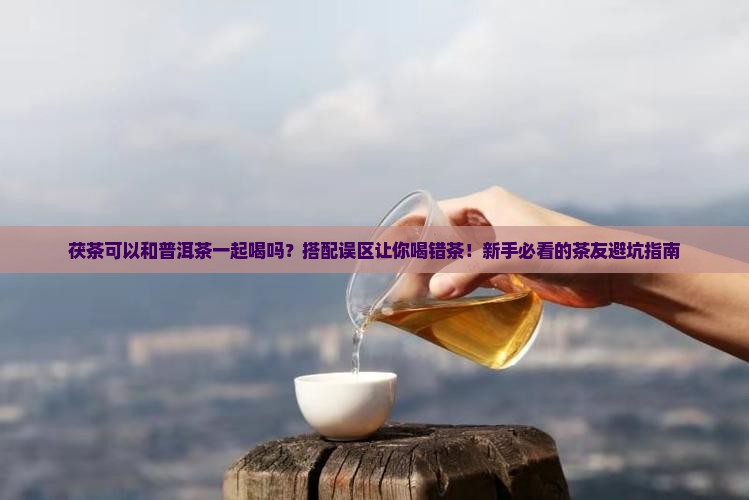 茯茶可以和普洱茶一起喝吗