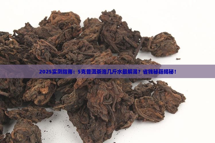 5克普洱茶可以泡几斤水
