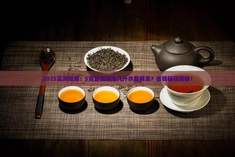 5克普洱茶可以泡几斤水
