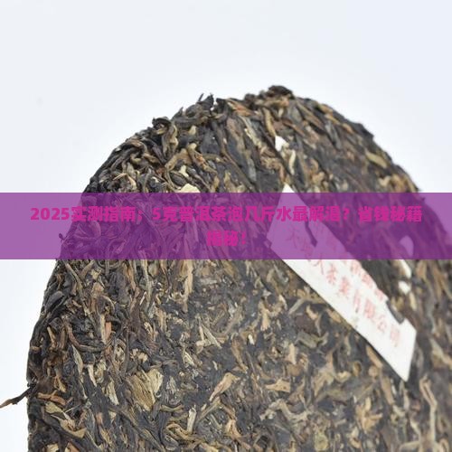 5克普洱茶可以泡几斤水