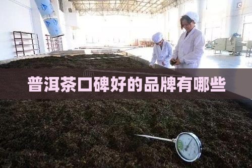 普洱茶口碑好的品牌有哪些