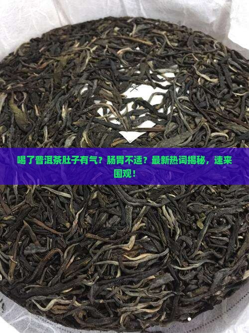 喝了普洱茶肚子有气