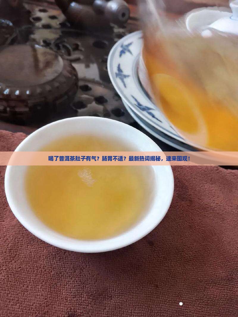 喝了普洱茶肚子有气