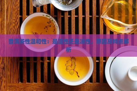 普洱茶性温和性