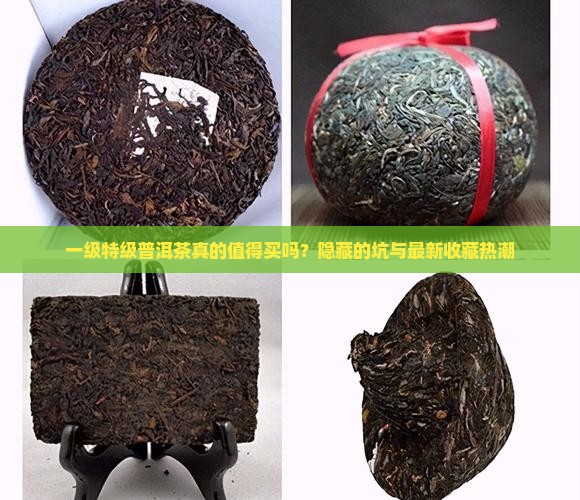 一级特级普洱茶