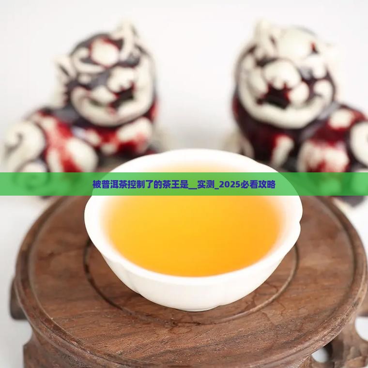 被普洱茶控制了的茶王是