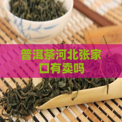 普洱茶河北张家口