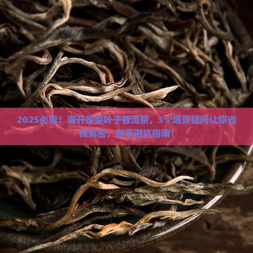 泡开是整叶子普洱茶