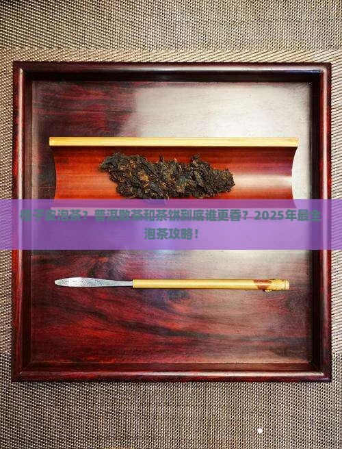 橙子皮泡茶普洱散茶和茶饼的区别