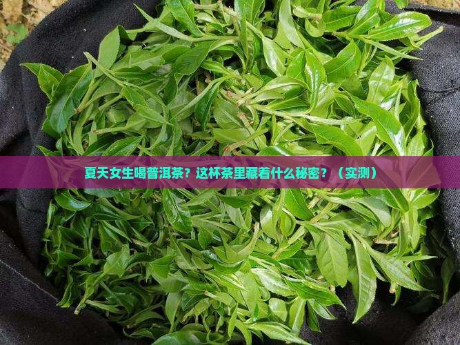 夏季女生喝普洱茶