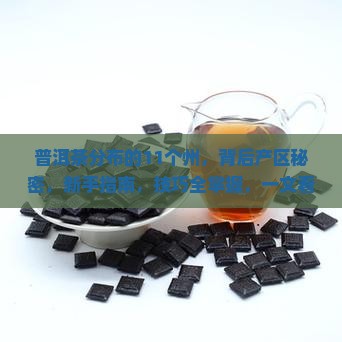 普洱茶分布的11个州