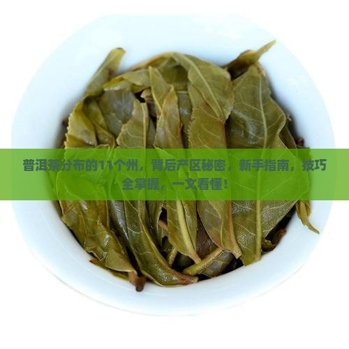 普洱茶分布的11个州