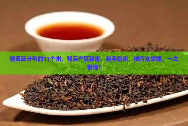 普洱茶分布的11个州
