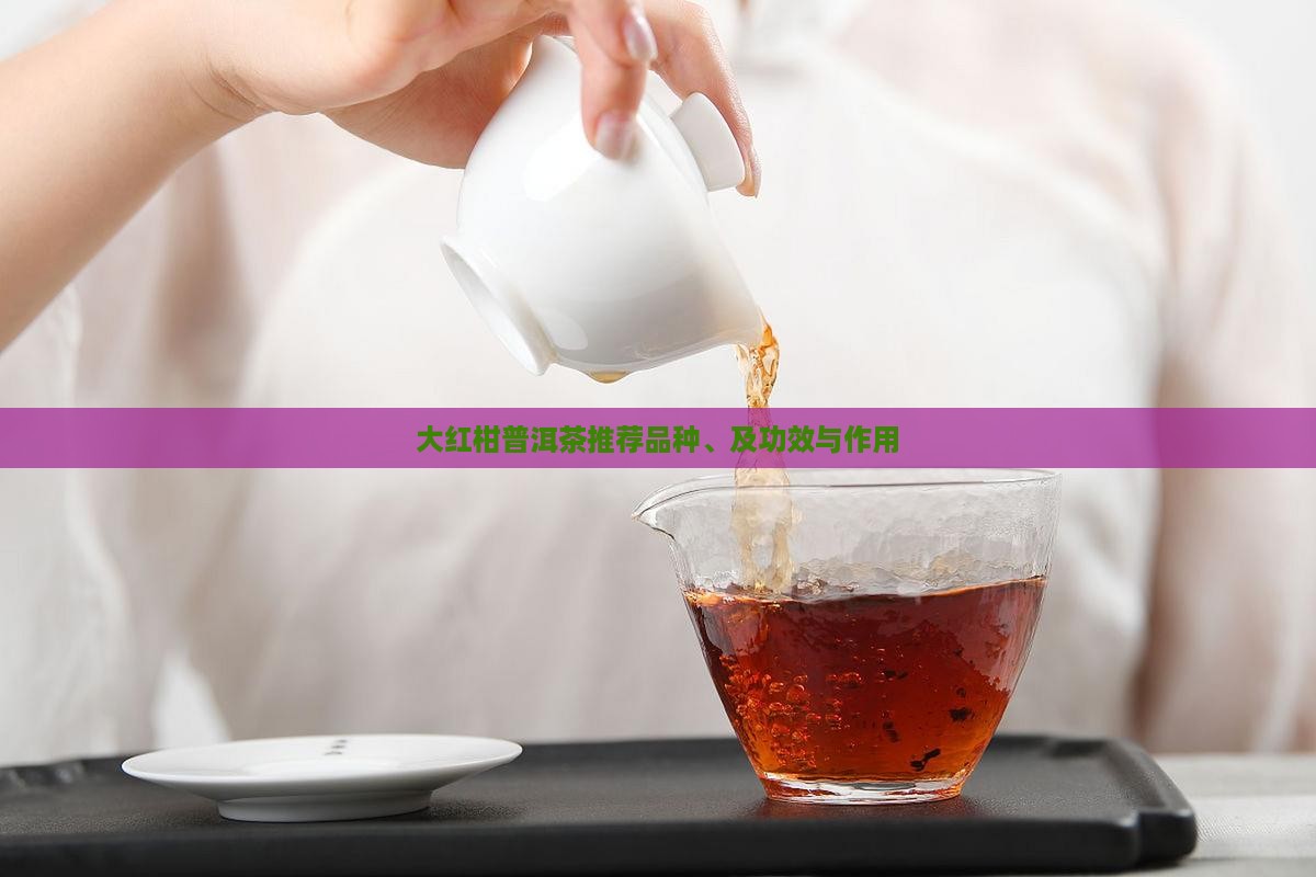 大红柑普洱茶推荐