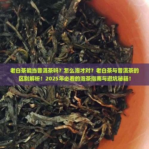 老白茶能当普洱茶吗怎么泡