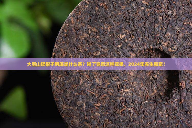大宝山碎银子是什么茶