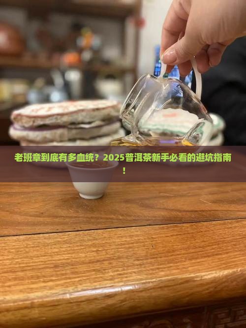 普洱茶血统老班章