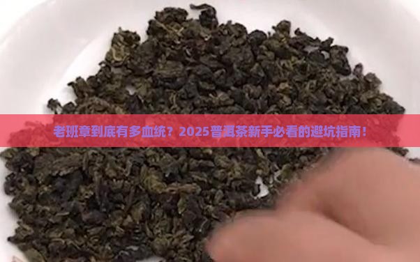 普洱茶血统老班章