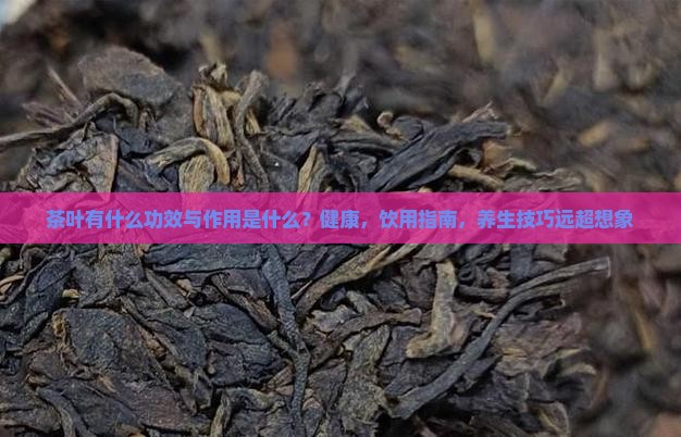 茶叶有什么功效与作用是什么