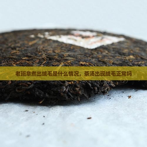 老班章煮出绒毛是什么情况