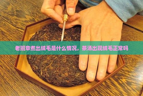 老班章煮出绒毛是什么情况