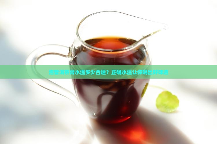 泡普洱茶膏水温多少合适
