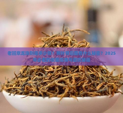 老班章龙珠价格老班章黄叶