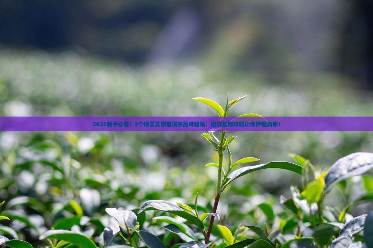 普洱茶品味说辞