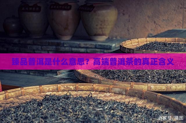 臻品普洱是什么意思